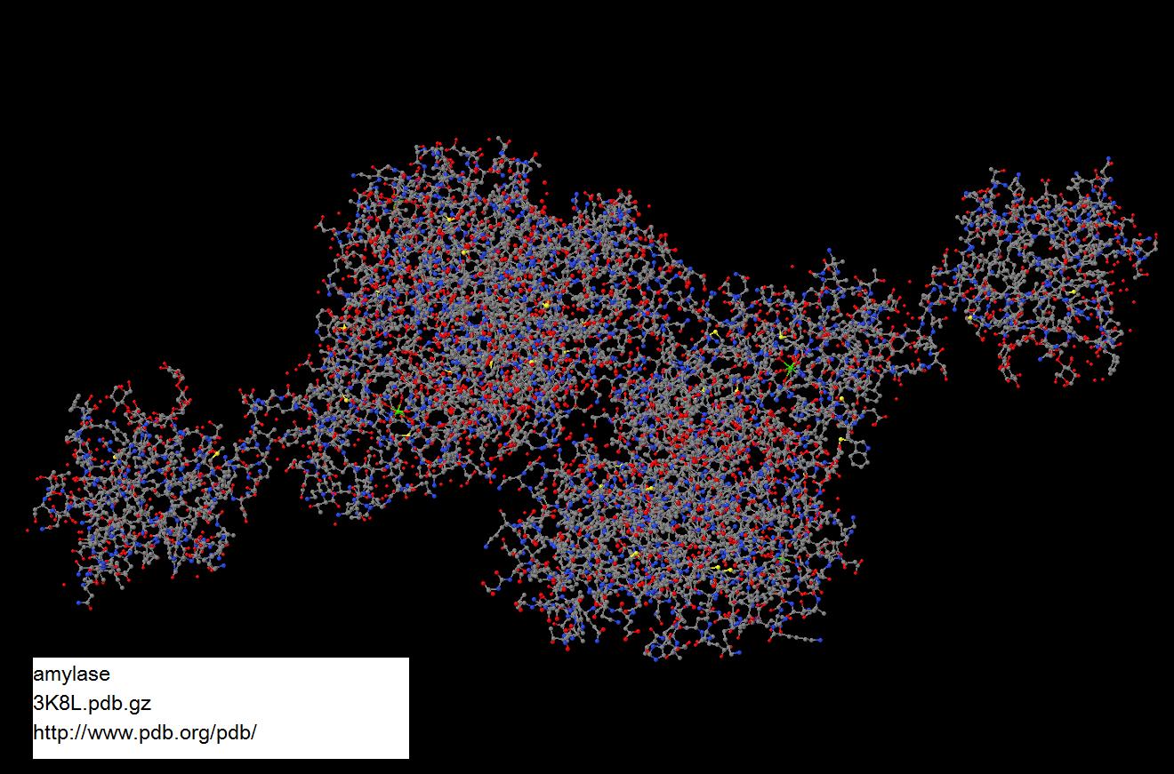 amylase3