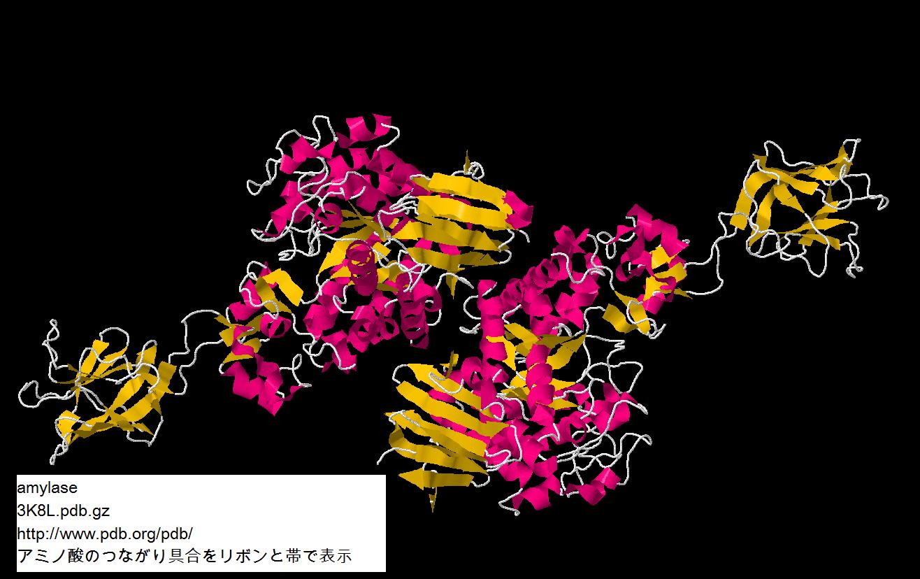 amylase4ribon