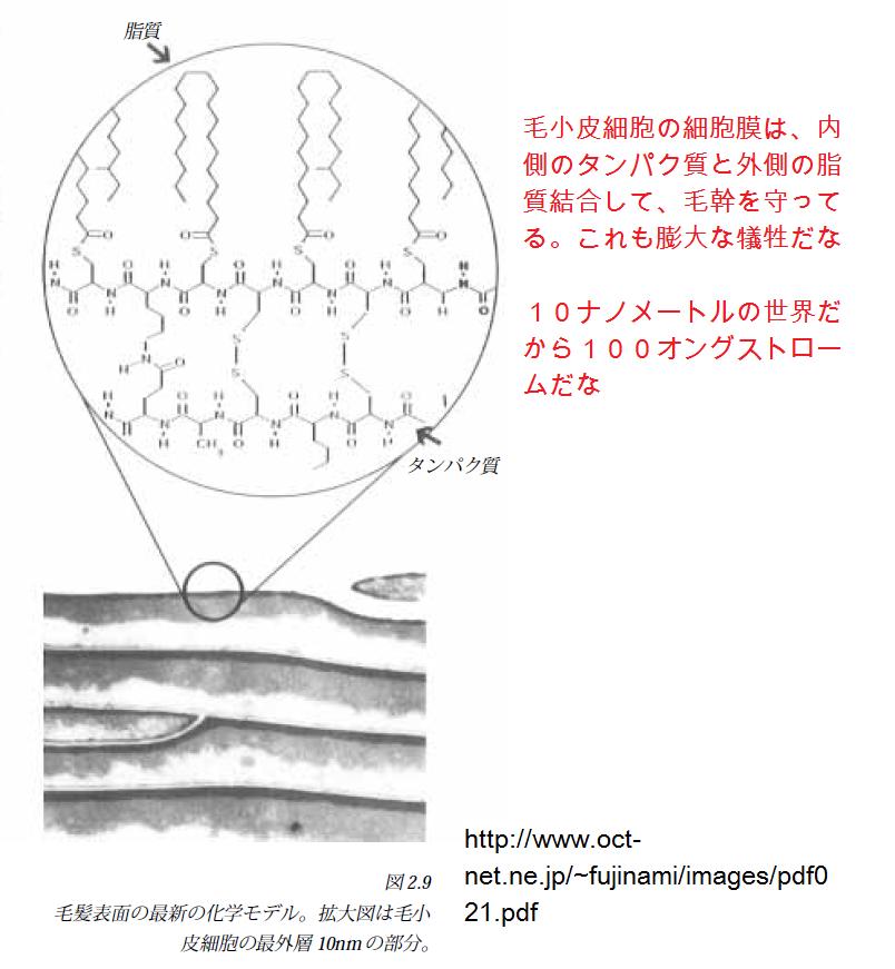 mouhatsu8